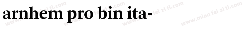 arnhem pro bin ita字体转换
